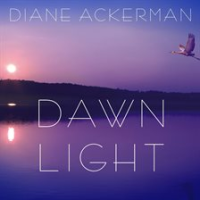 Dawn_Light